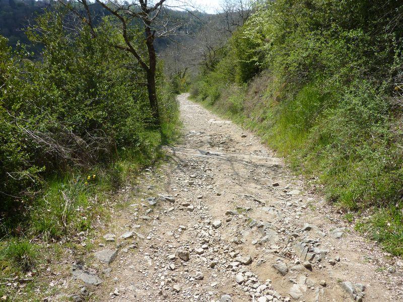 chemin_serignat.jpg